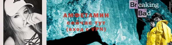 соль ск Дмитриев