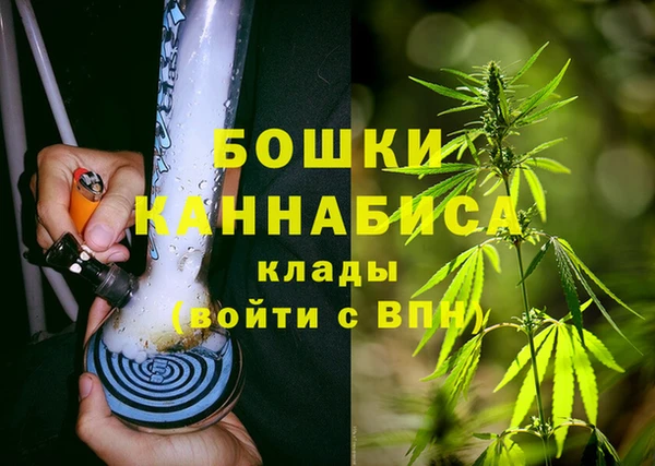 экстази Ельня