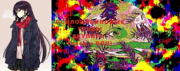 герыч Алзамай