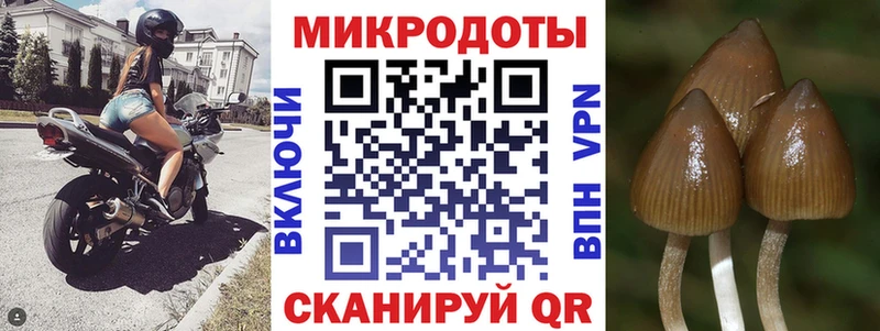 маркетплейс какой сайт  Кулебаки  Псилоцибиновые грибы GOLDEN TEACHER 
