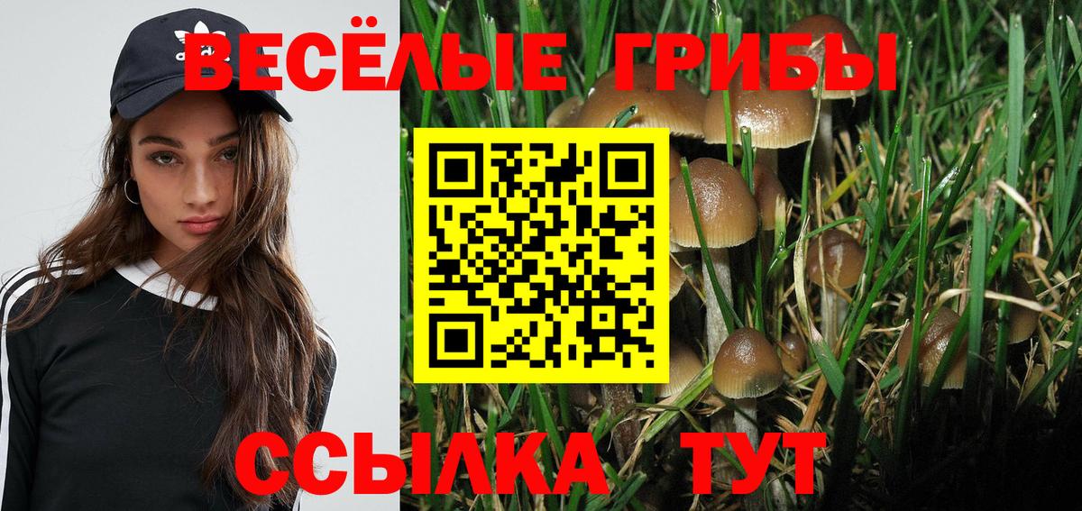 Галлюциногенные грибы MAGIC MUSHROOMS Кулебаки